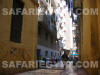 Street Ally, Alexandria Egypt