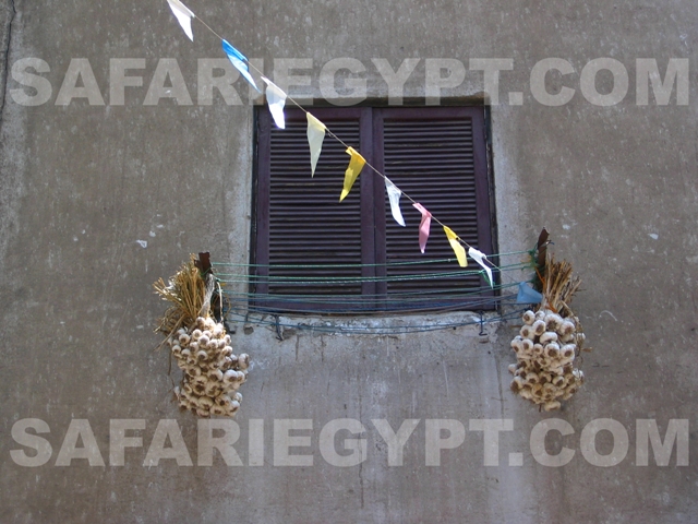 Photo Garlic on Windows, Cairo Picture Egypt Cairo Photo