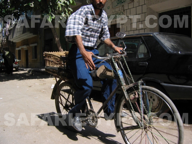 Photo Riding to work, Cairo Picture Egypt Cairo Photo