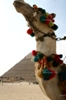 Photo Pyramid