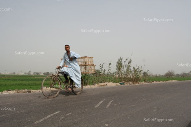 Photo Cairo Suburbs