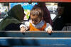 Photo Cairo Transportation
