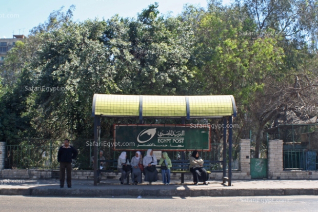 Photo Cairo Transportation